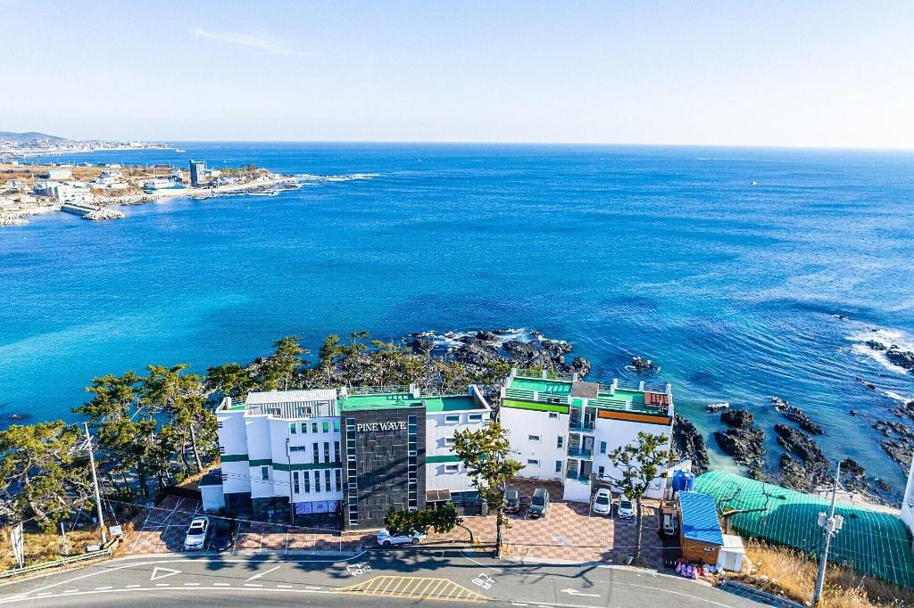 Pohang Pinewave Sea & Spa Pension - General view