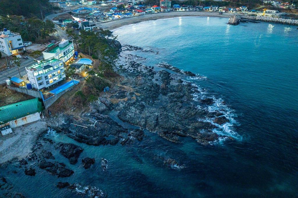 Pohang Pinewave Sea & Spa Pension - General view