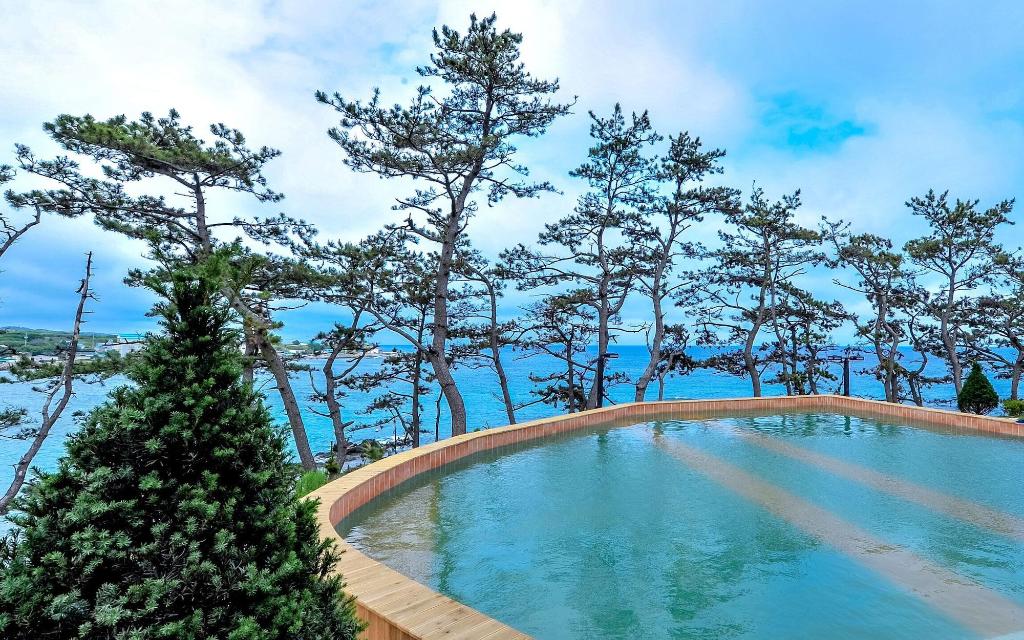 Pohang Pinewave Sea & Spa Pension - Sports and Entertainment