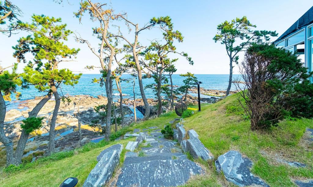 Pohang Pinewave Sea & Spa Pension - Beach