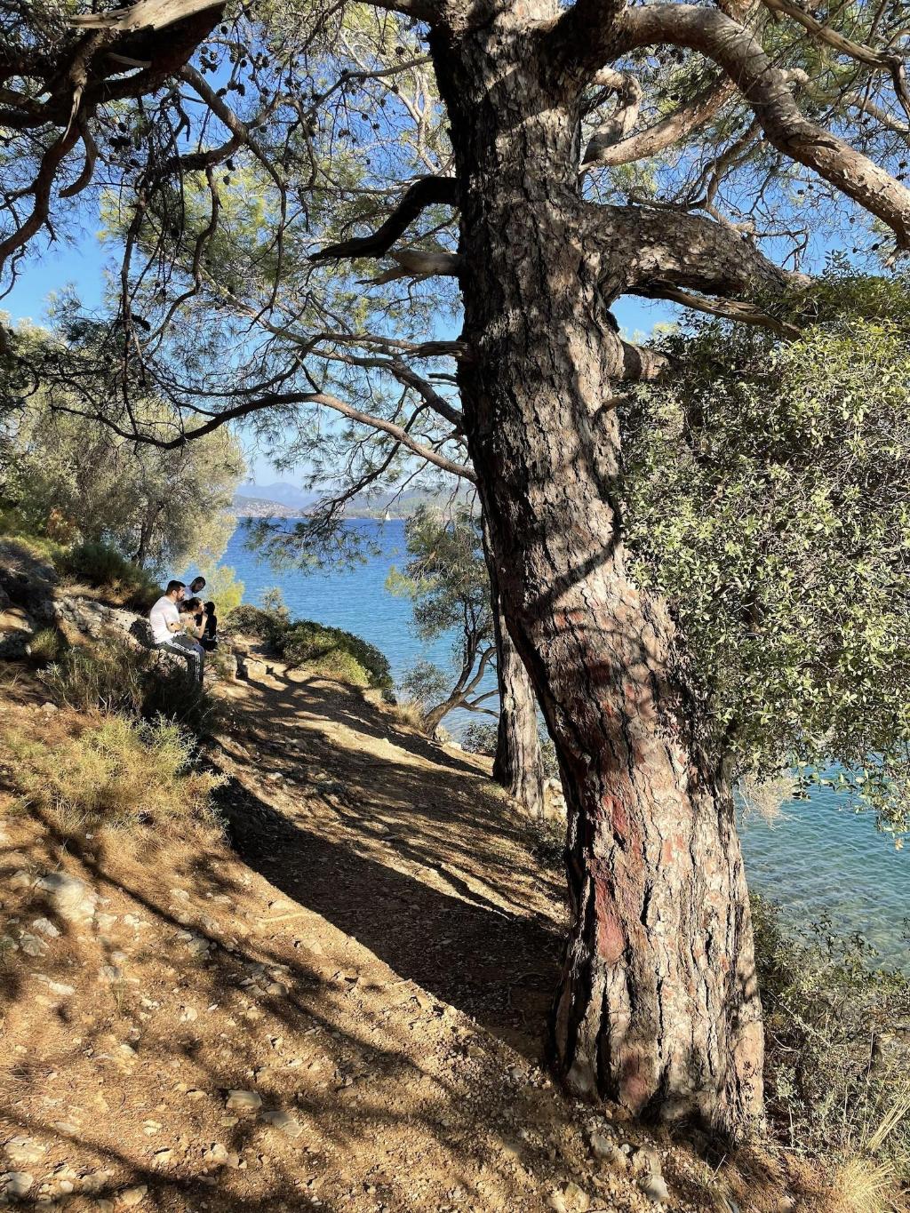 Hotel Dalaman Airport AliBaba Hotel, Türkei, Dalaman. Großes 142