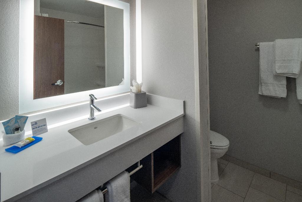 Holiday Inn Express & Suites Little Rock Downtown