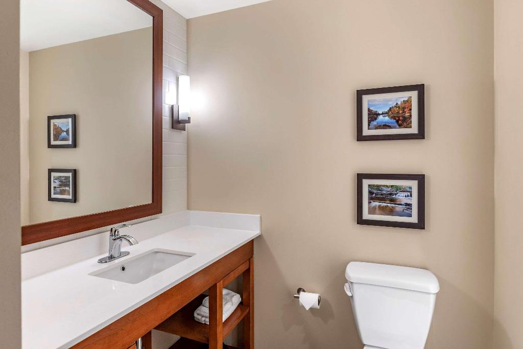 Comfort Inn & Suites -Clarkston