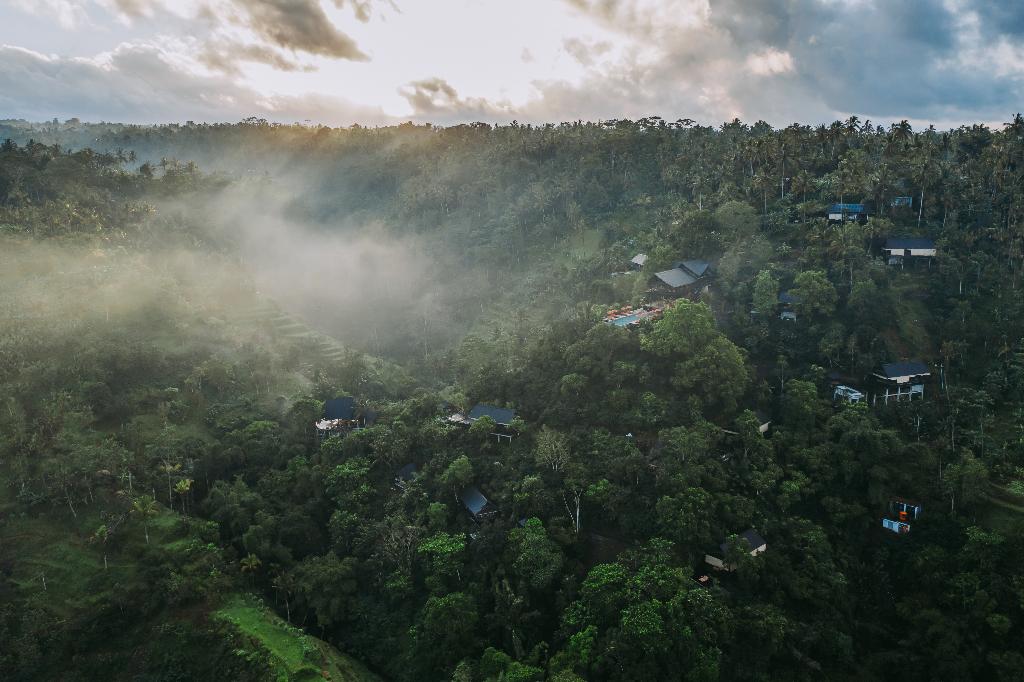 Buahan, A Banyan Tree Escape