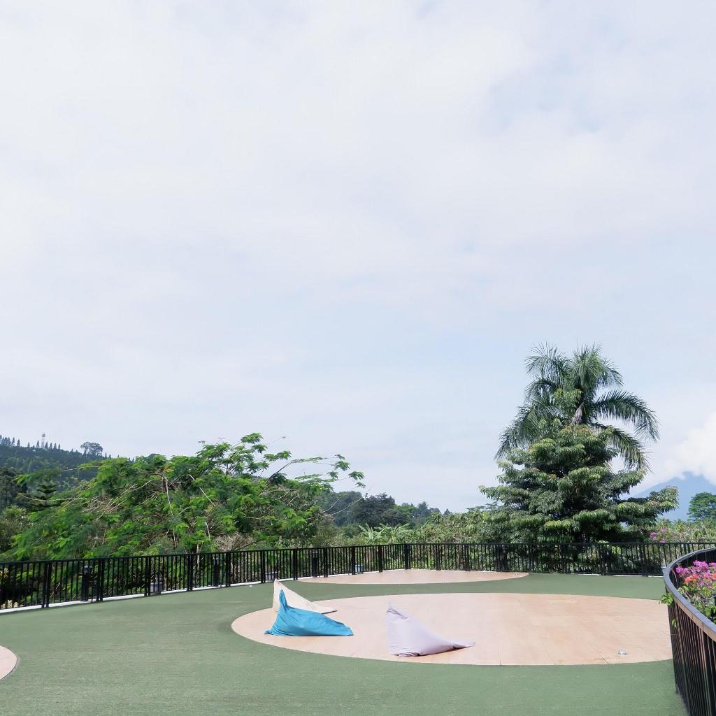 Green Peak ARTOTEL Curated