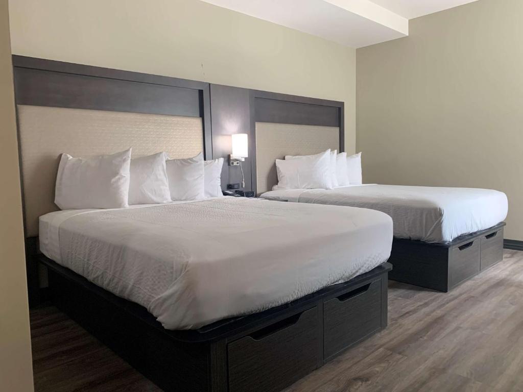 Best Western Plus Executive Residency Bronx