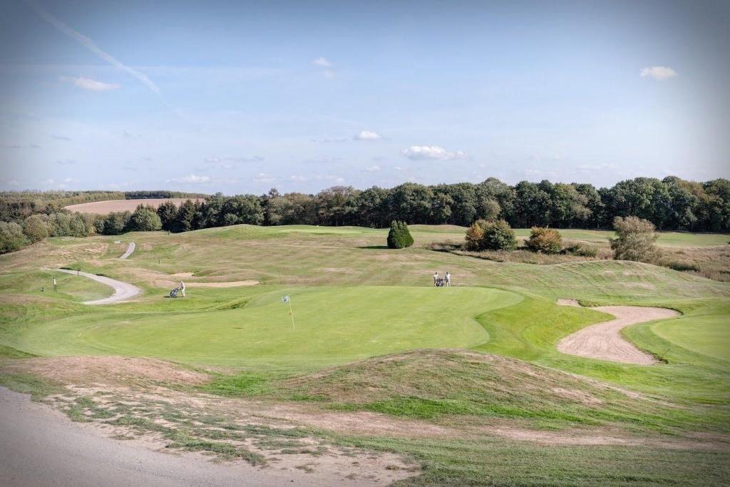 Sanglier Des Ardennes