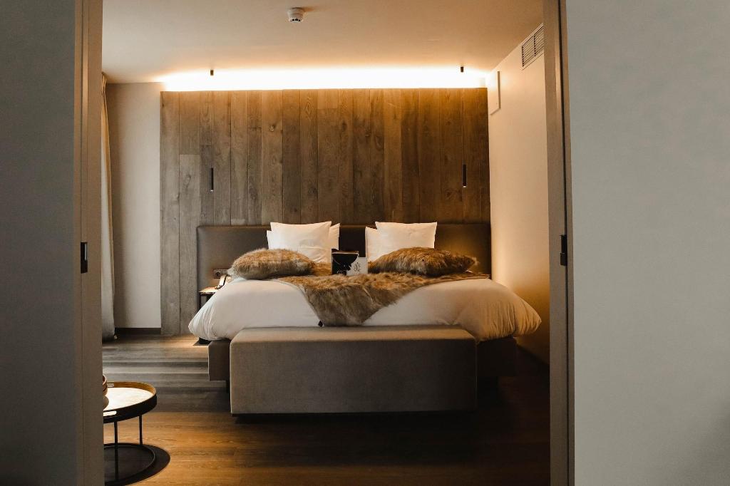 Hotel Sanglier