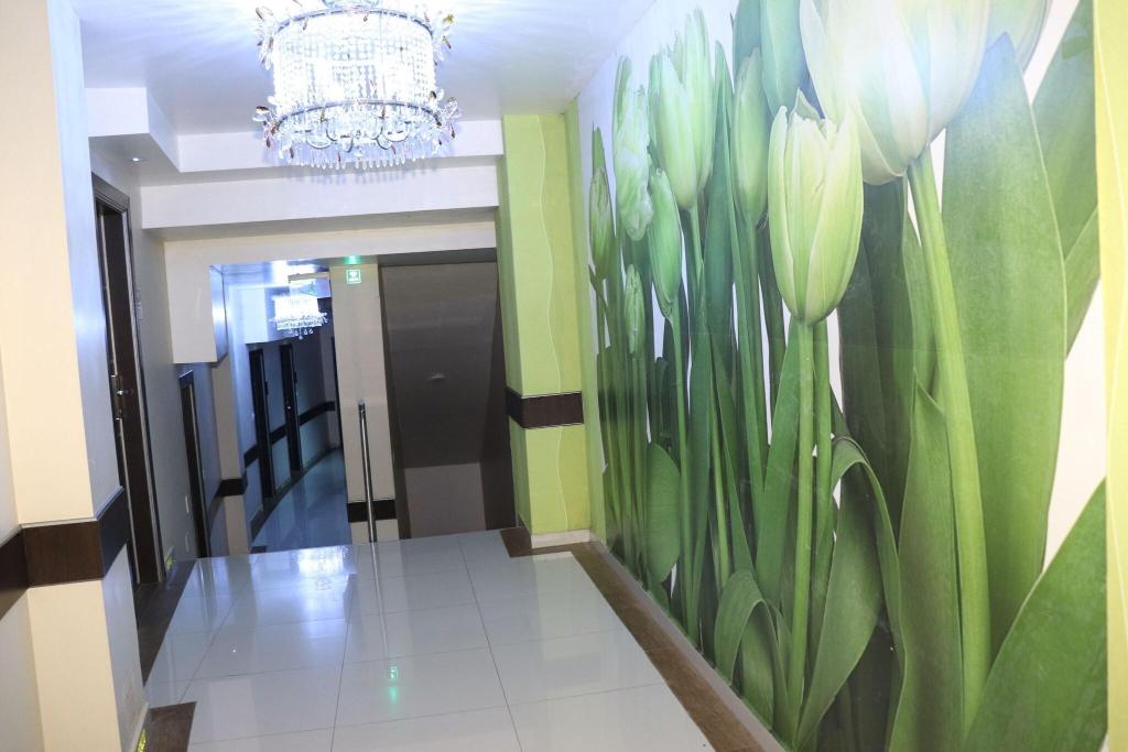 Hotel Luxsur