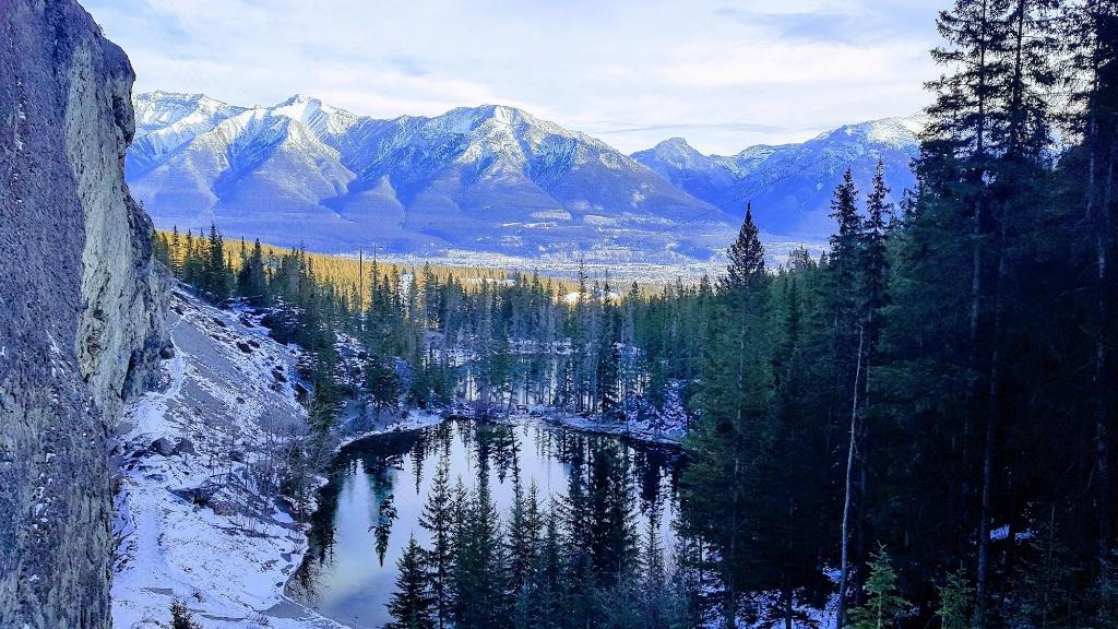 Prc Annex - Pet Friendly