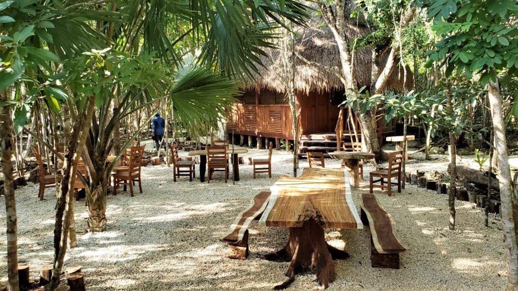 Aldea Maya-Ha Cabañas Con Cenotes, vista principal
