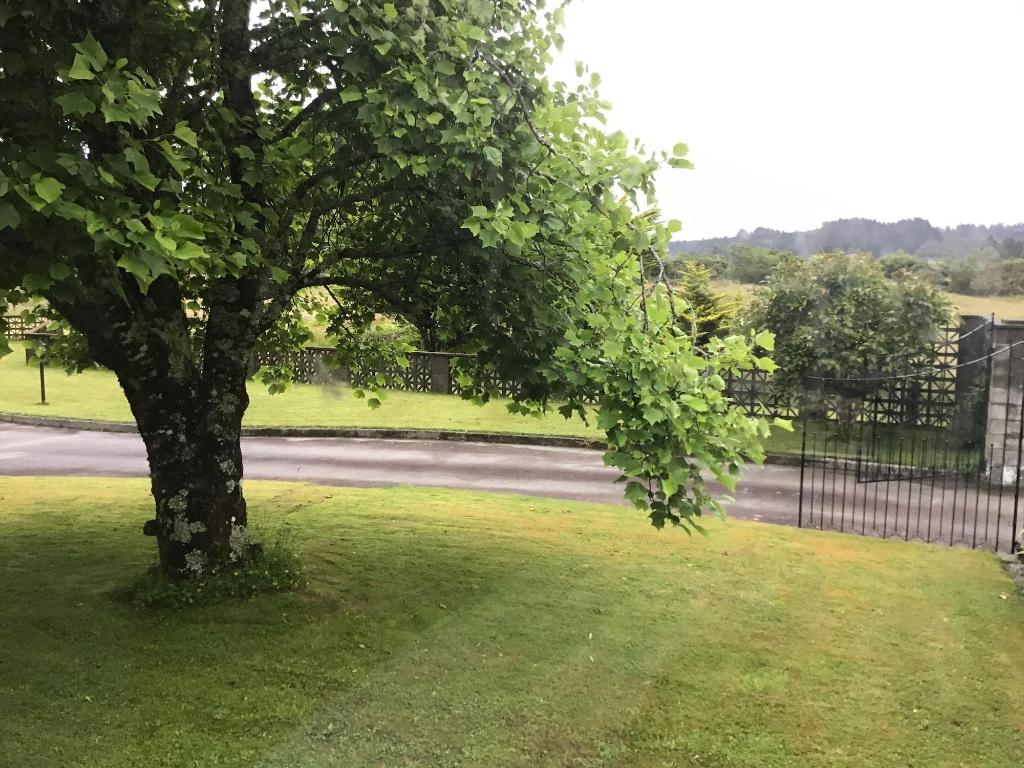 Woodland Glen Lodge