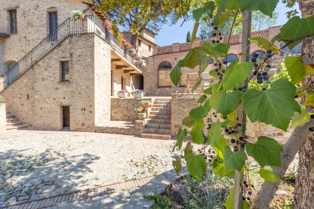 Borgo Pulciano photo 76