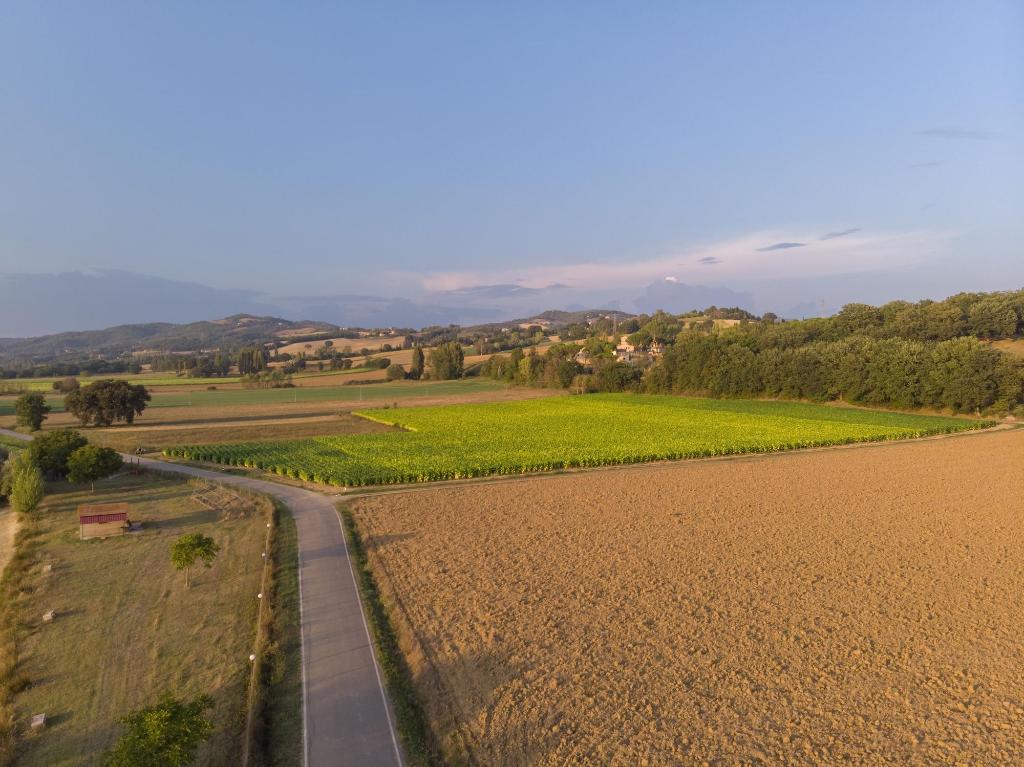 Borgo Pulciano photo 113