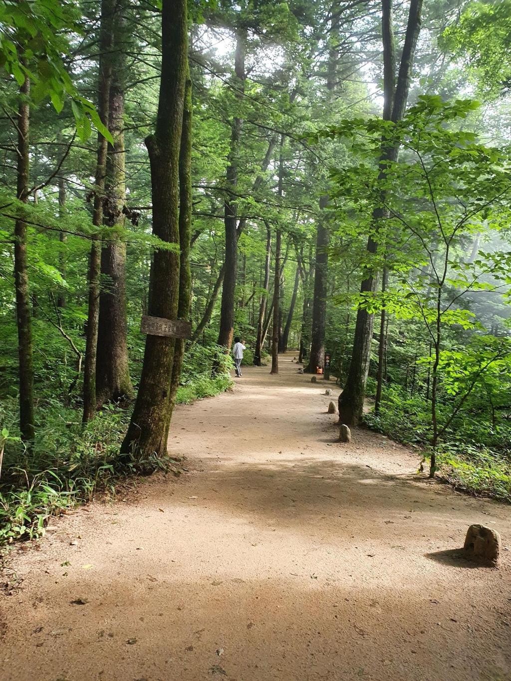Odae Mountain Healing Town - Golden Light - Sports and Entertainment