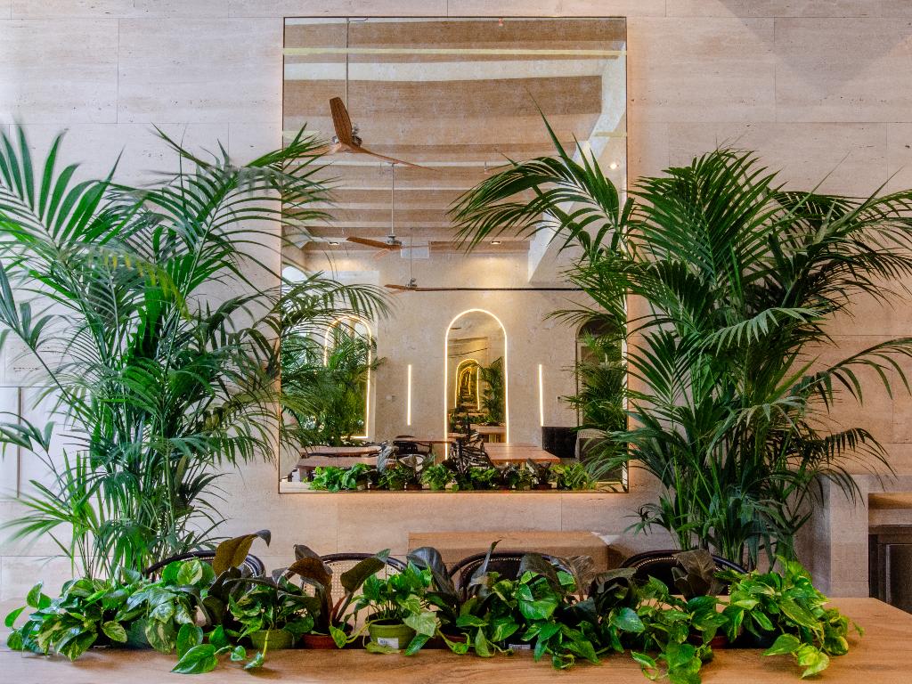 Imagem da galeria de Browns Avenue Hotel