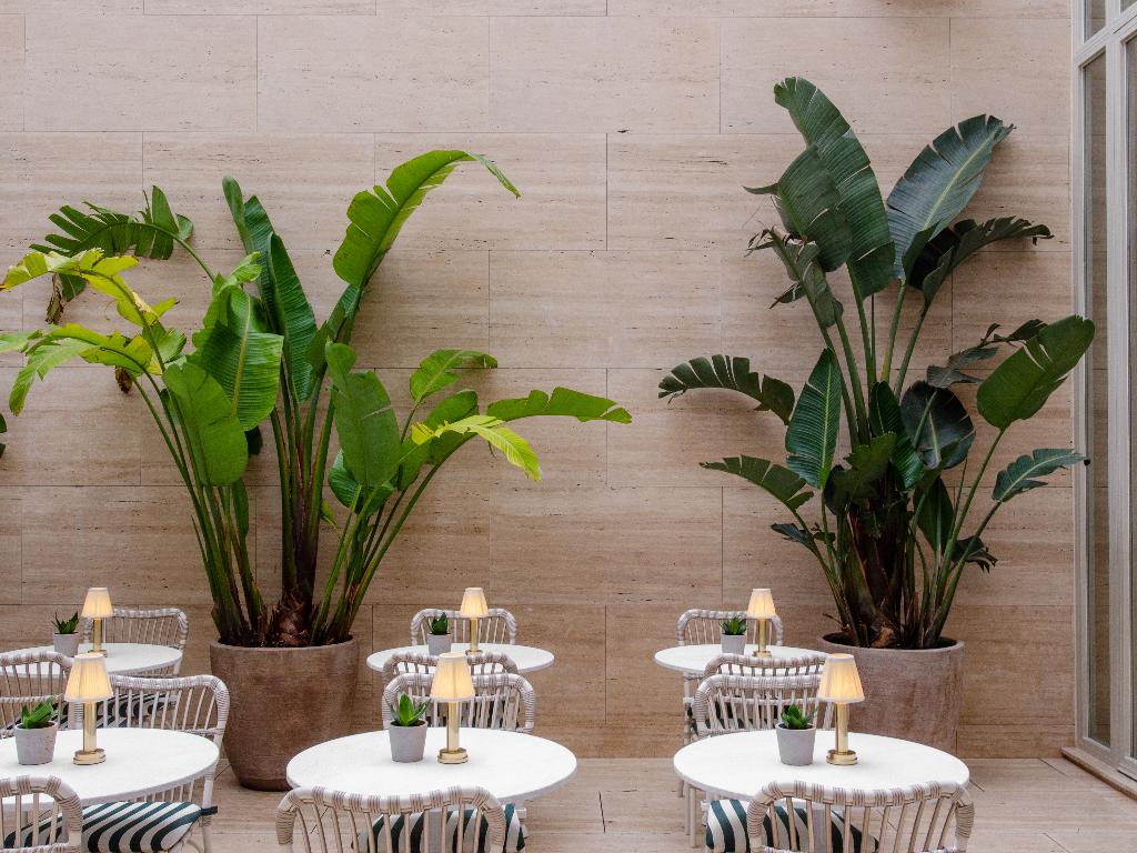 Imagem da galeria de Browns Avenue Hotel