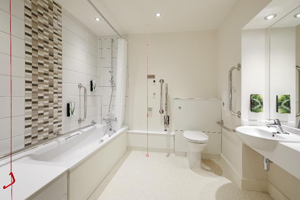 Premier Plus Accessible Lower Bath