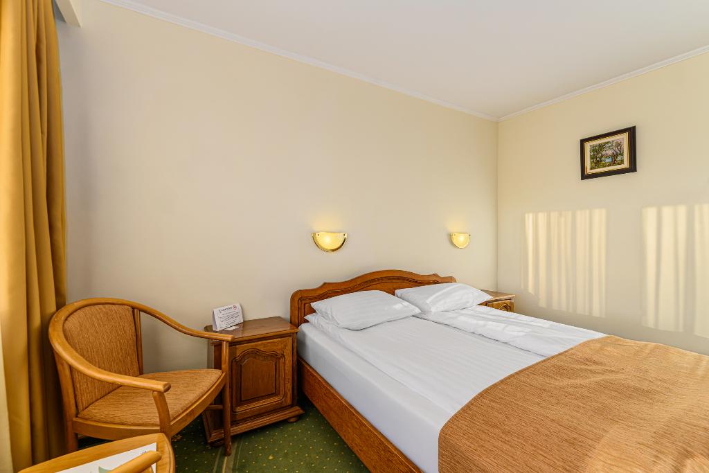 Hotel Casa Viorel