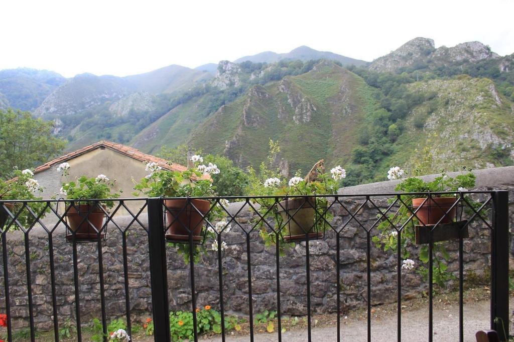 El Colladin