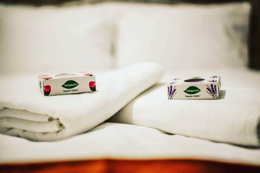 Rosa Therapy Hotel