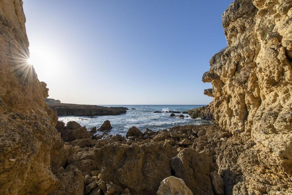 Galeriebild von W Algarve