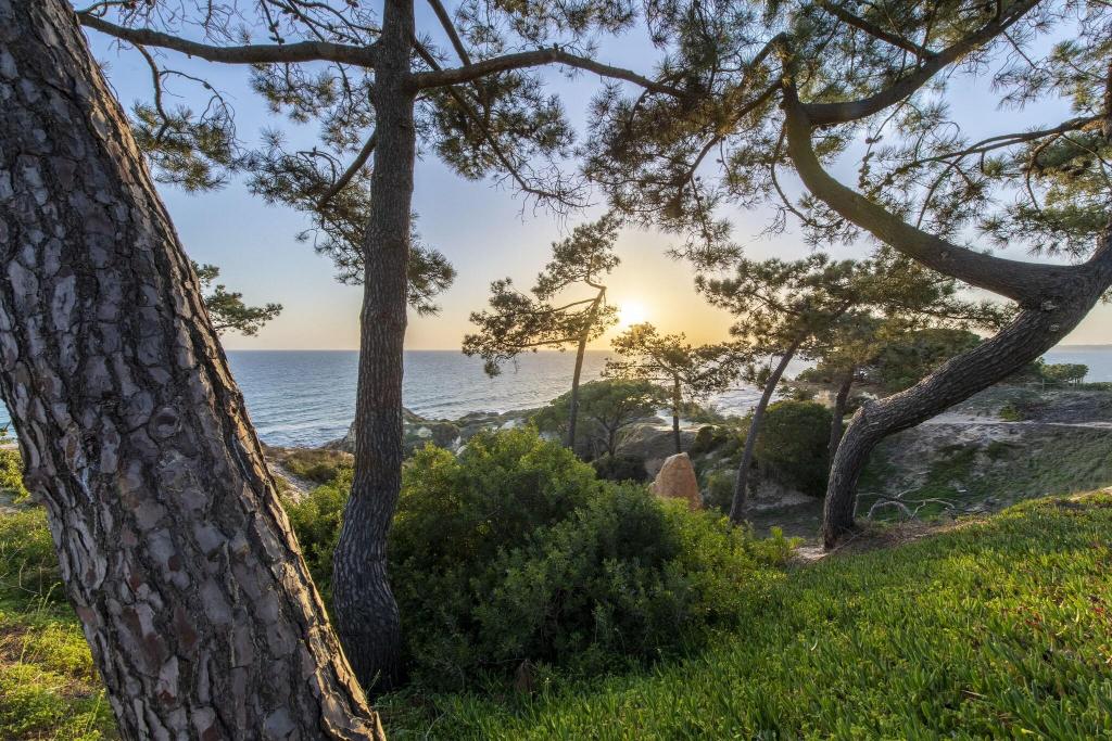 Galeriebild von W Algarve