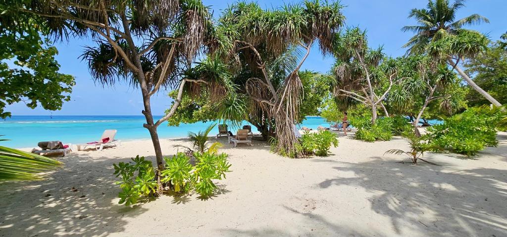 Beach Cottage