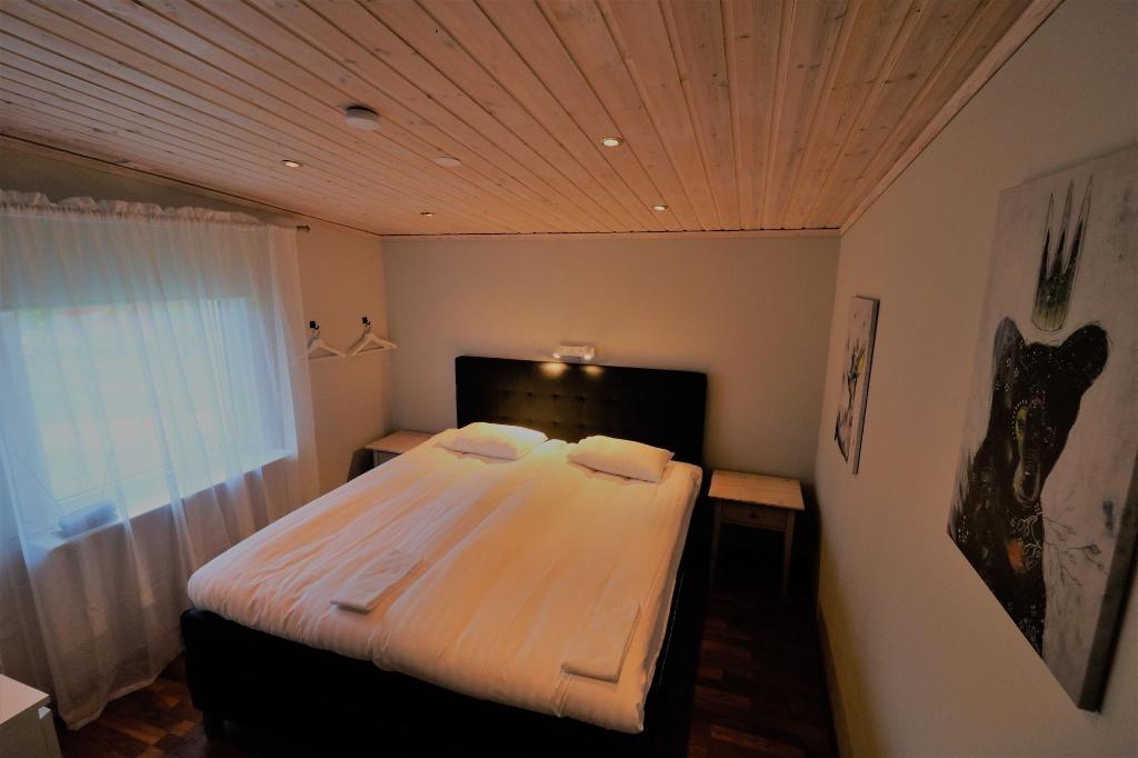 RIBO Apartment Aurora