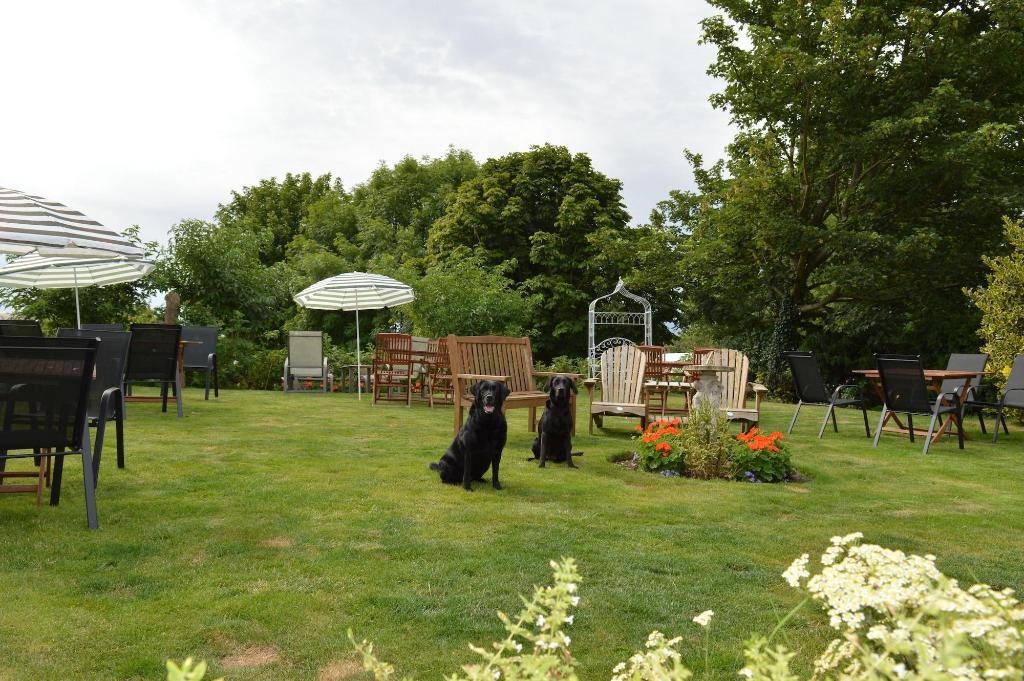 Orchard Lodge