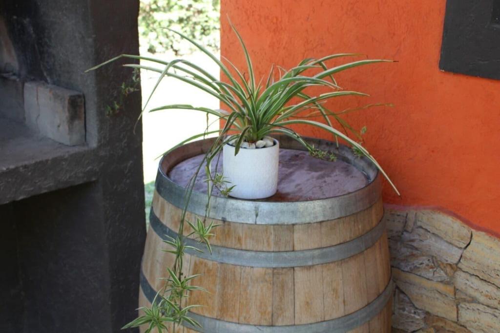 La Vita e Bella  Cabanas en San Rafael