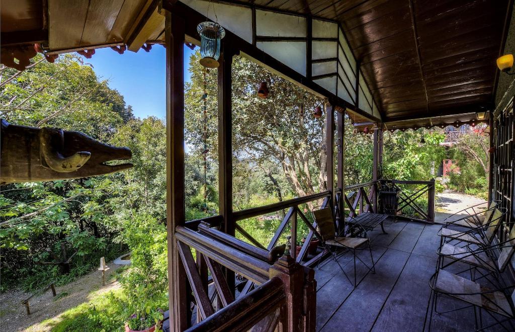 Jungle Lore Birding Lodge