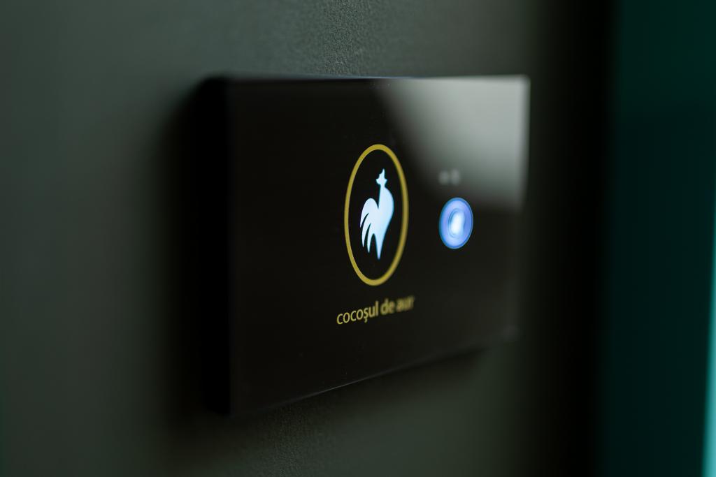 Boutique Hotel Cocosul De Aur