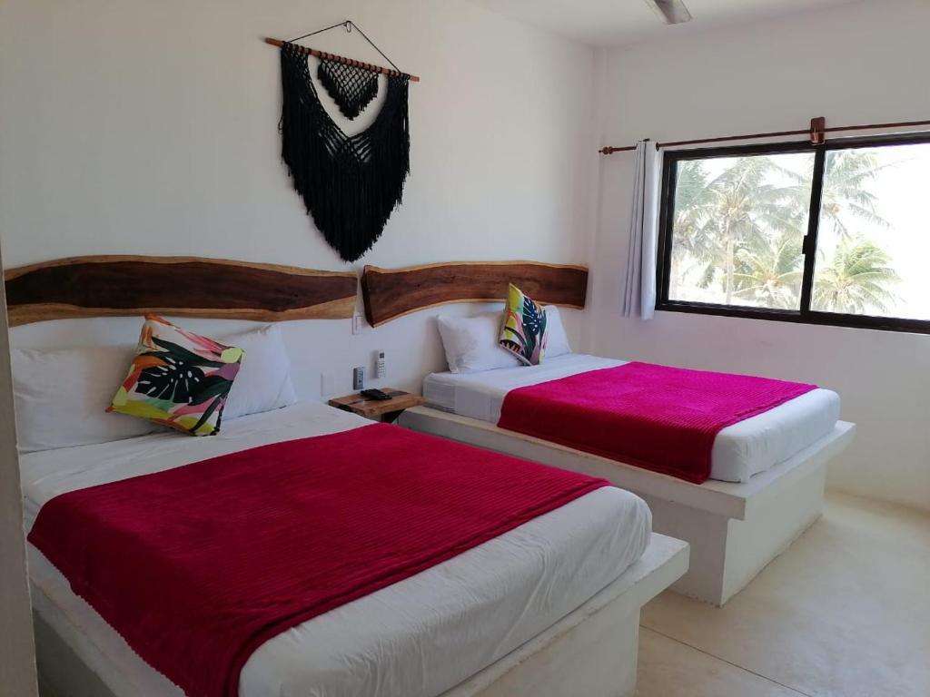 Mittoz Holbox