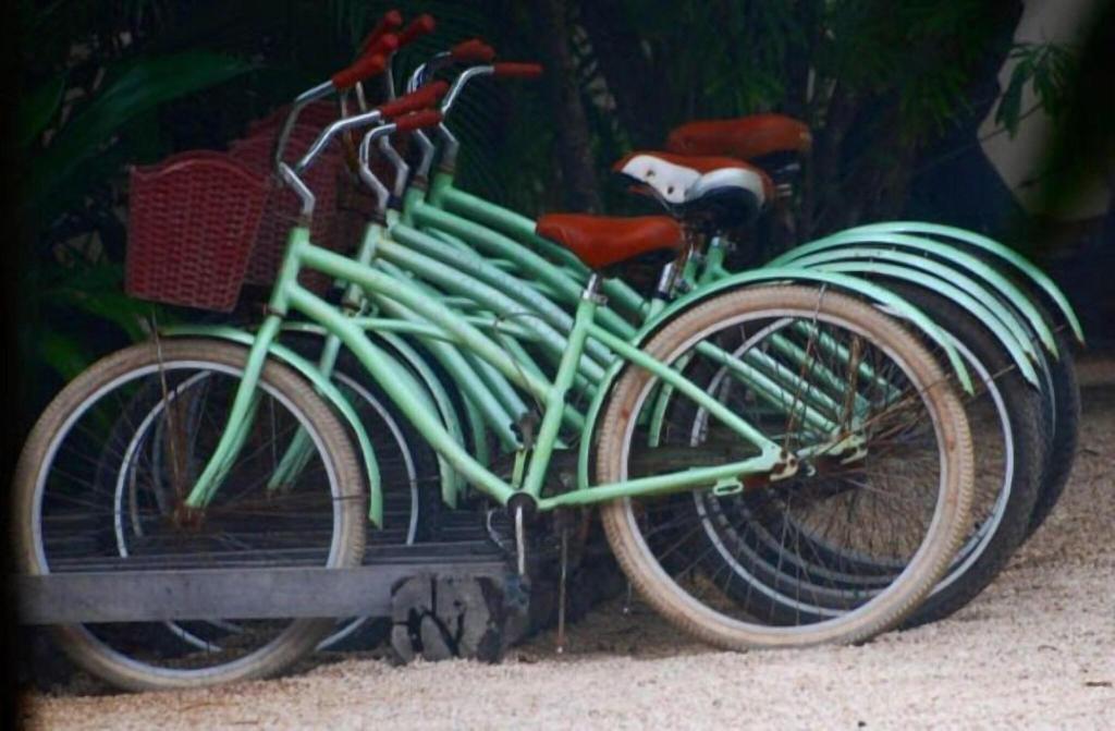 Hotel Pepem Holistic Experience - Adults Only, Mexiko, Tulum. Großes 2