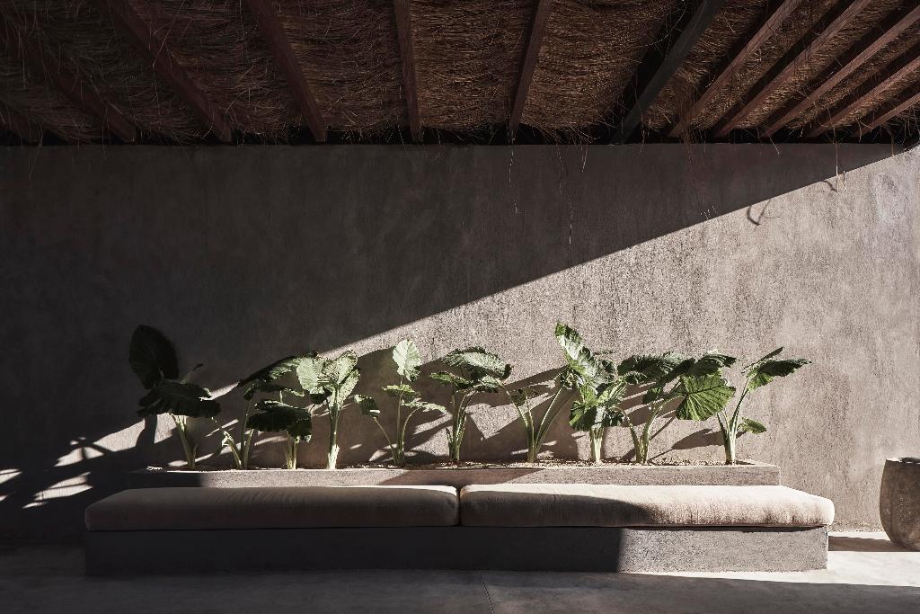 Casa Cook North Coast -  Adults Only