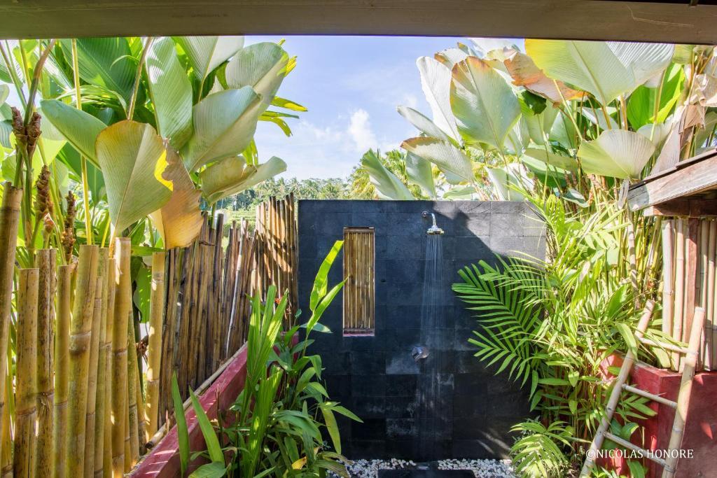 Hati Padi Cottages