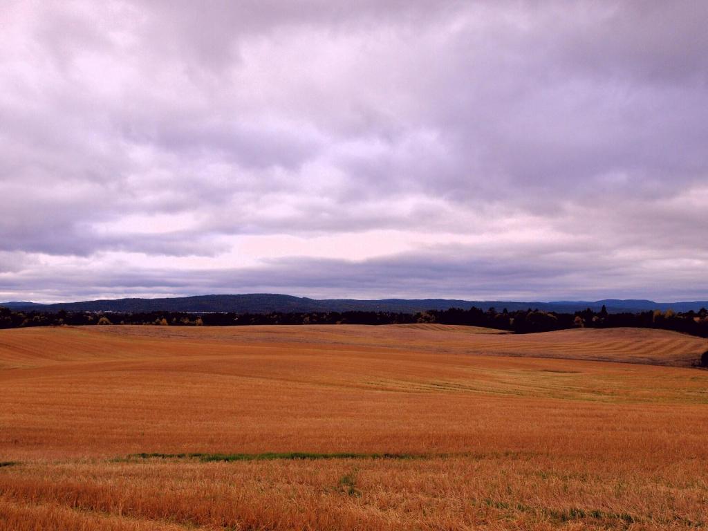 Bedder At Oslo Airport