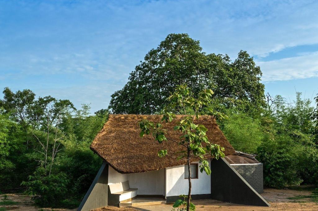 Red Earth Tadoba