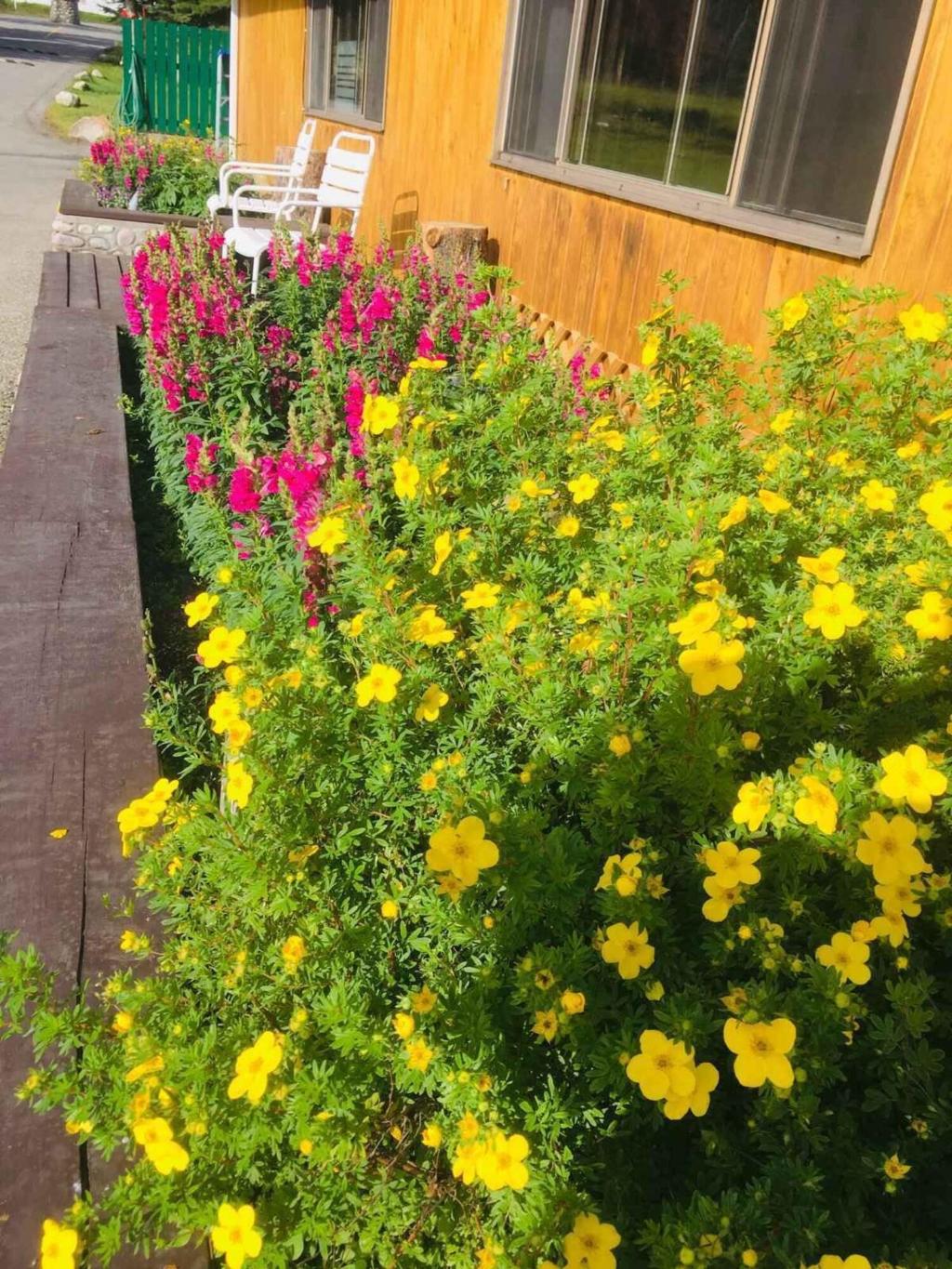 Jasper House Bungalows