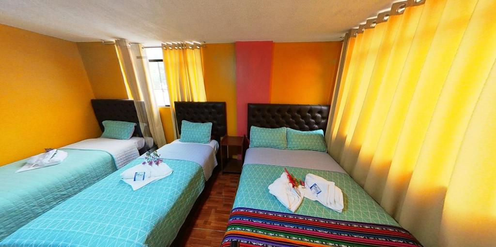 Yacumama Santa Teresa
