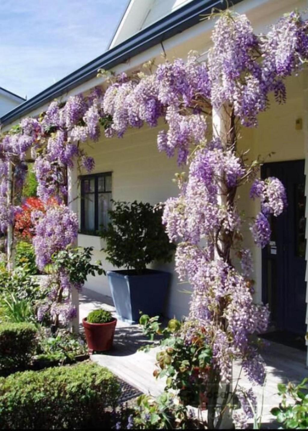 Olive Rabbit Boutique Bed Breakfast