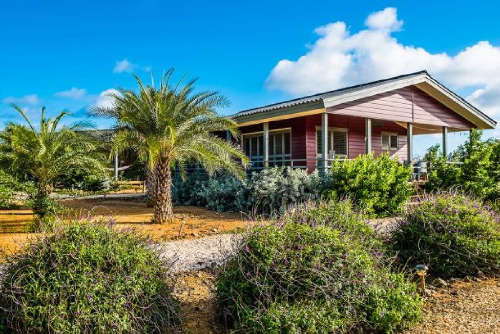 Red Palm Village