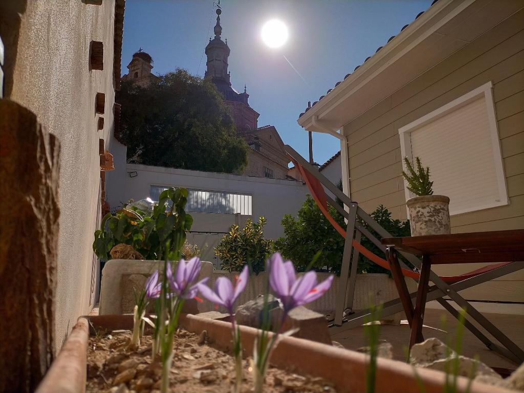 Azafra N Consuegra Casa Rural