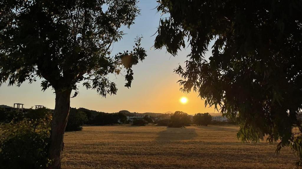 Hotel Nikos BnB Rooms, Griechenland, Faliraki. Großes 34