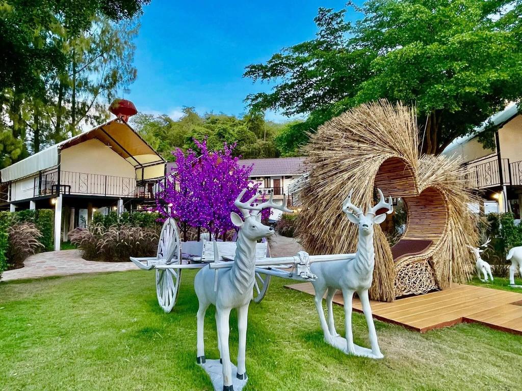 Mont Blanc Base Camp Khao Yai