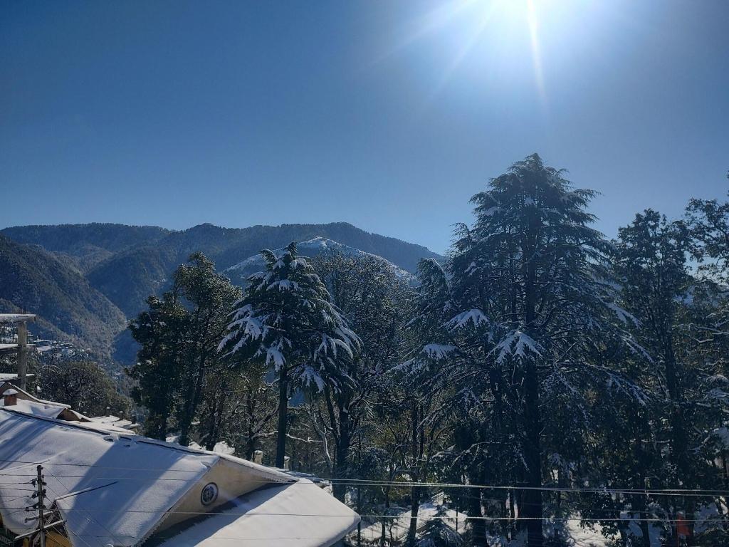 Sagrika Resort