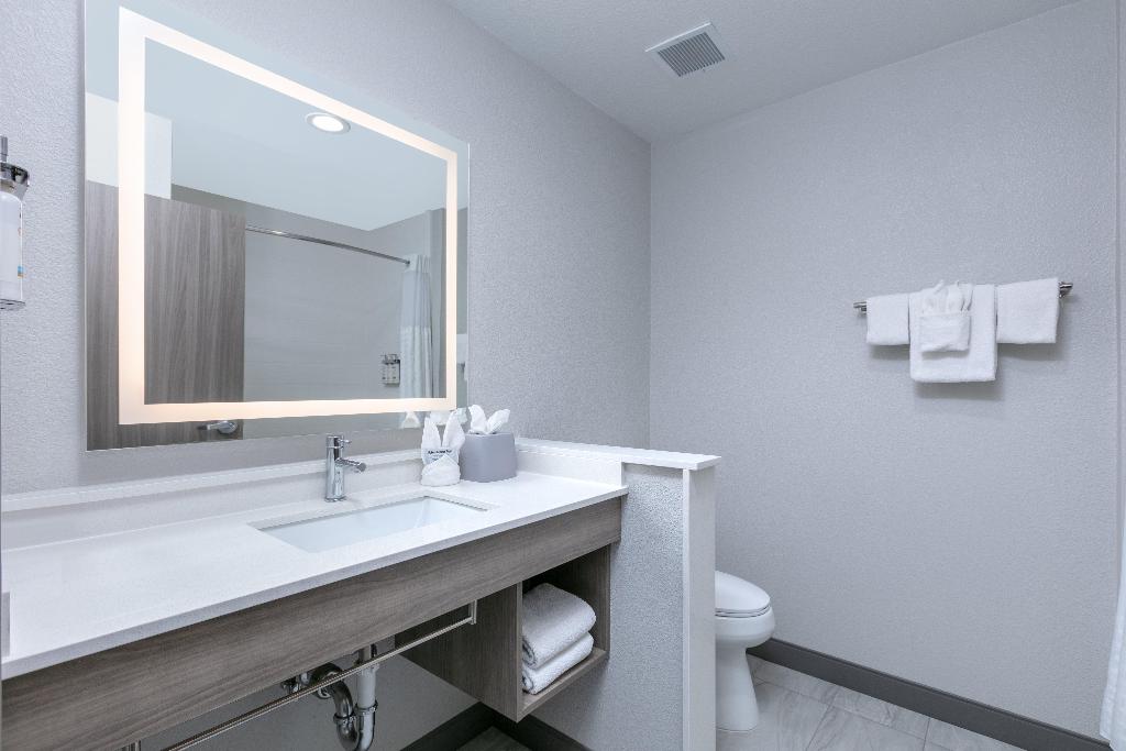 Holiday Inn Express & Suites Dallas Plano North