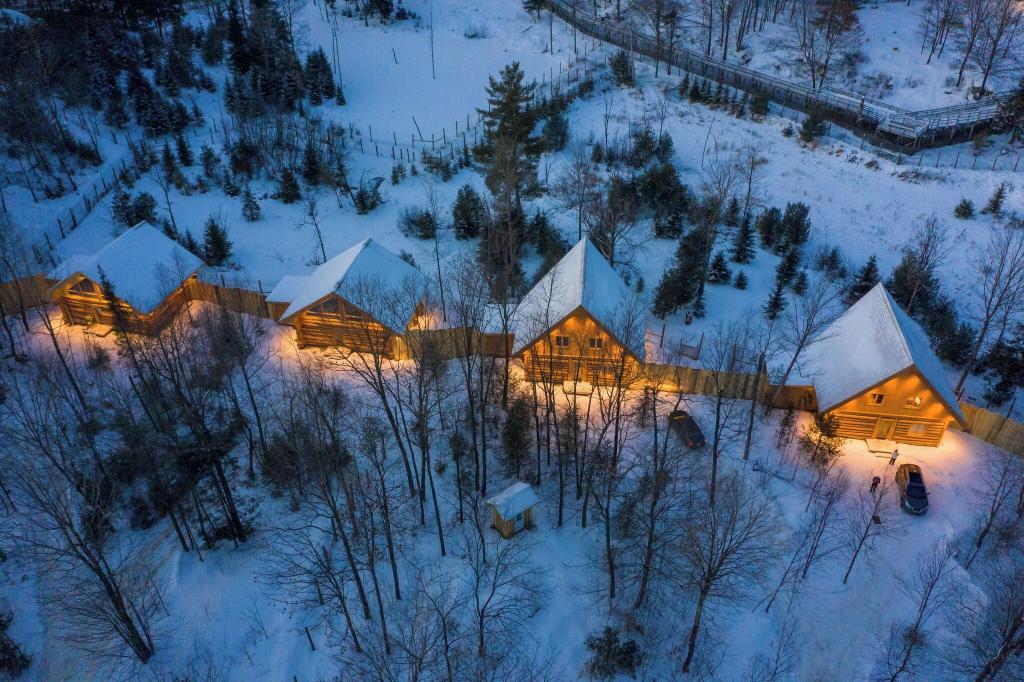 Parc Omega