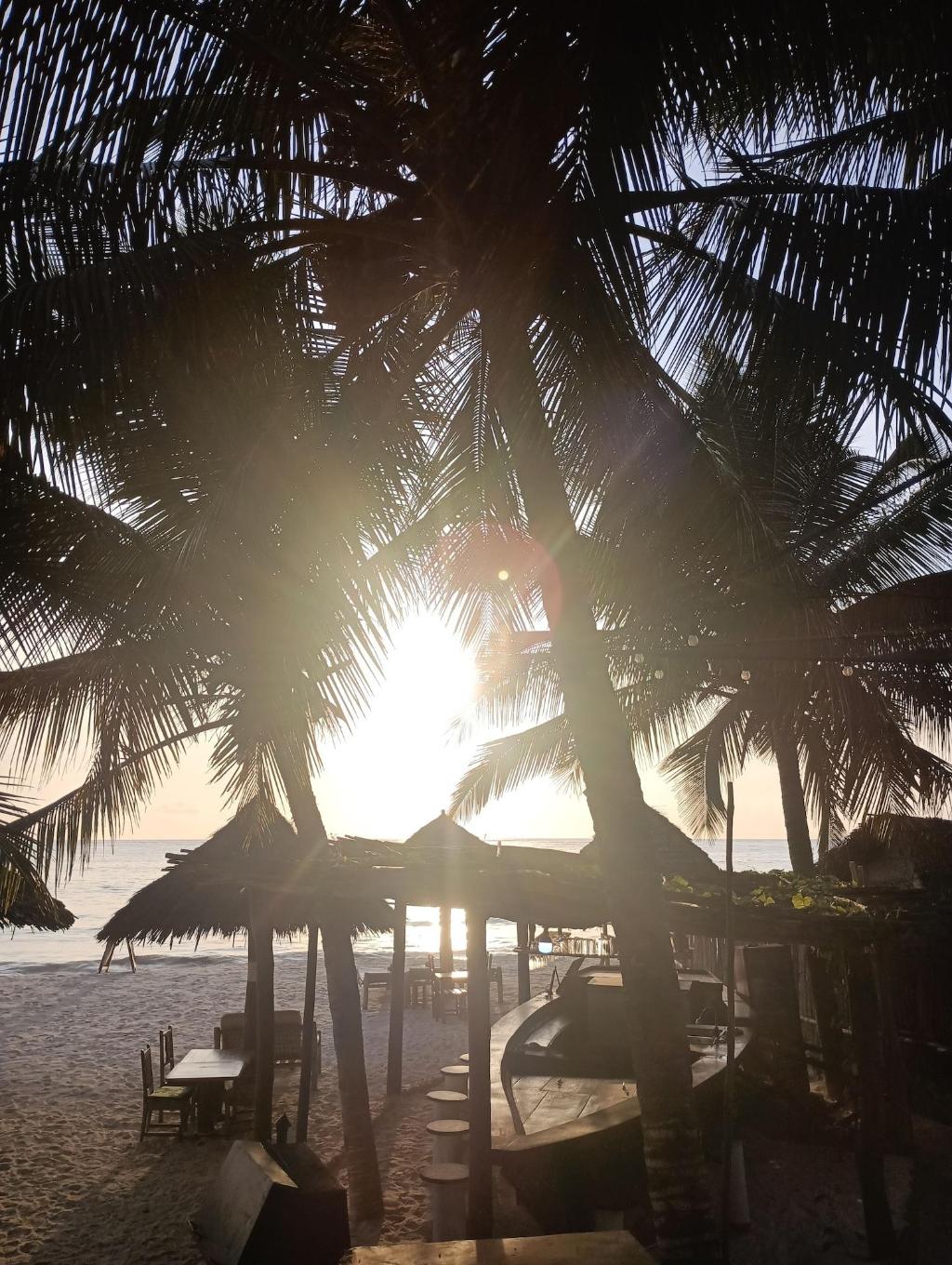 Hotel Villa Dida Resort Boutique 4*, Tansania, Pwani Mchangani. Großes 165